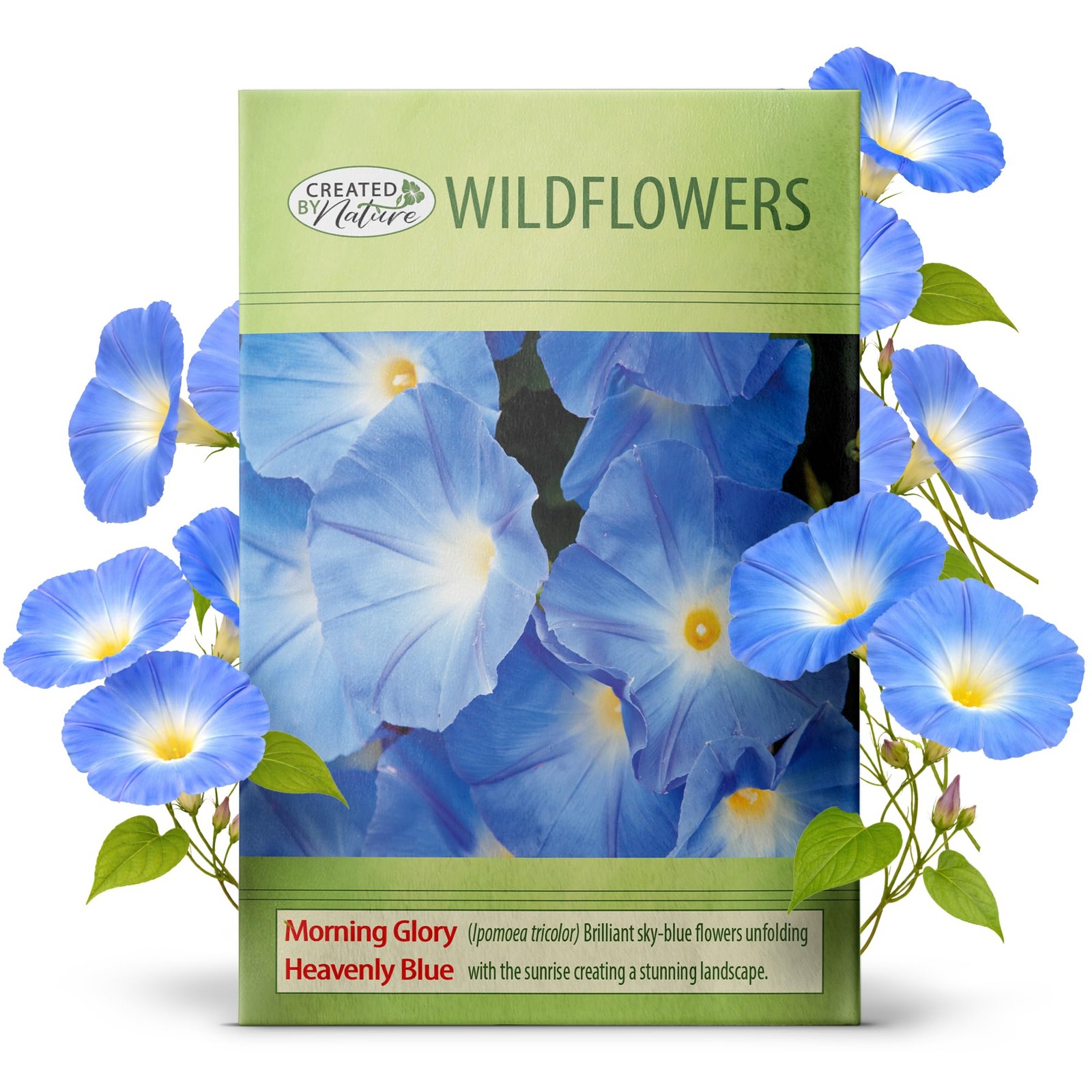 , Morning Glory Seeds Heavenly Blue, Blue Climbing Flowers for Trellis, Wild…
