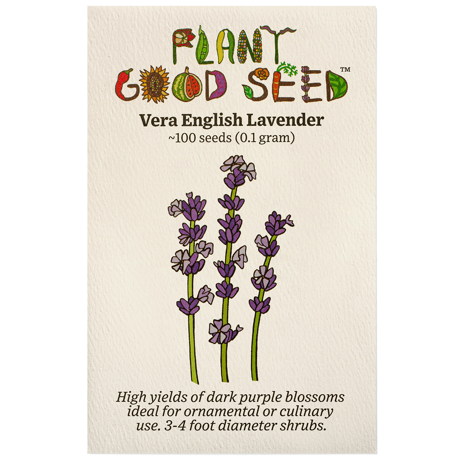 Vera English Lavender Seeds