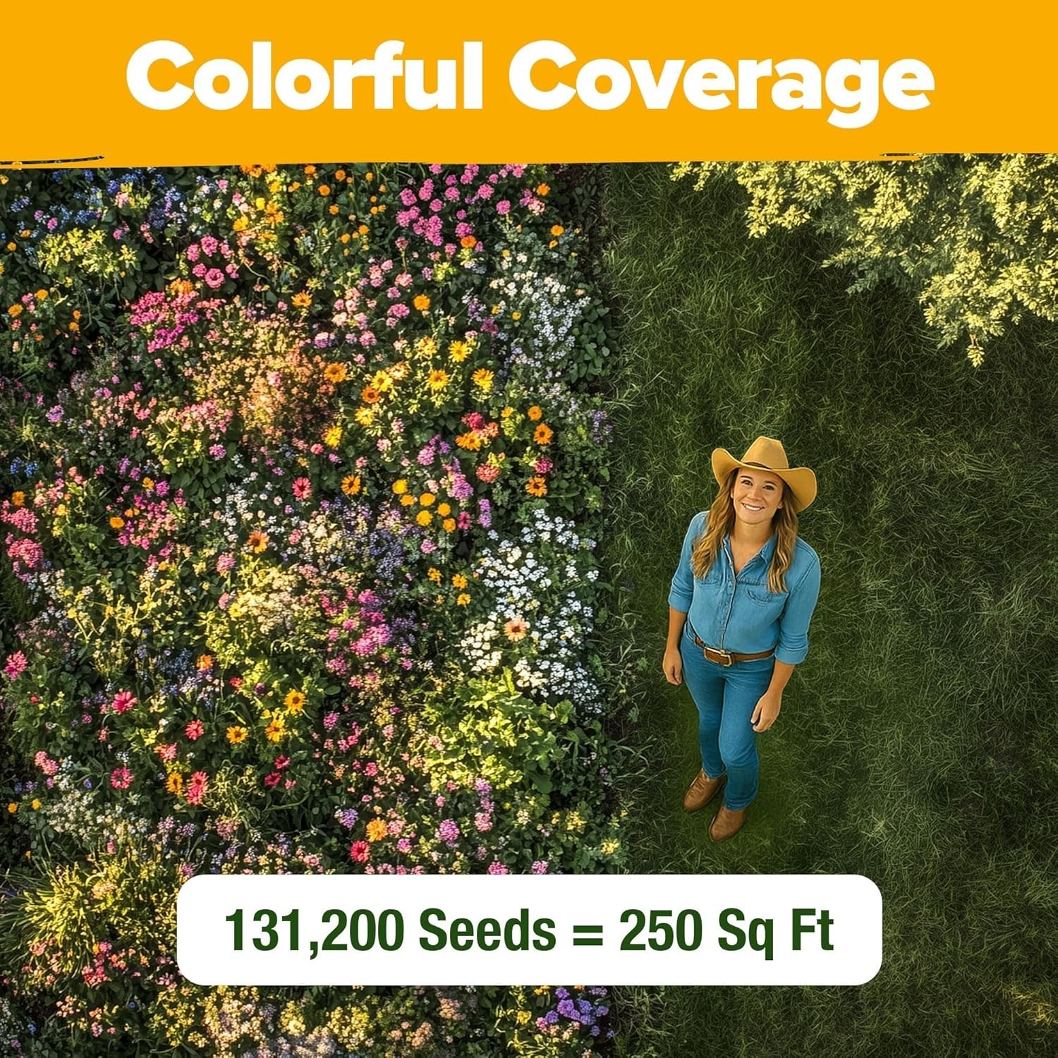 131,200+ Texas Wildflower Seeds | Eco-Friendly Pollinator Garden Mix