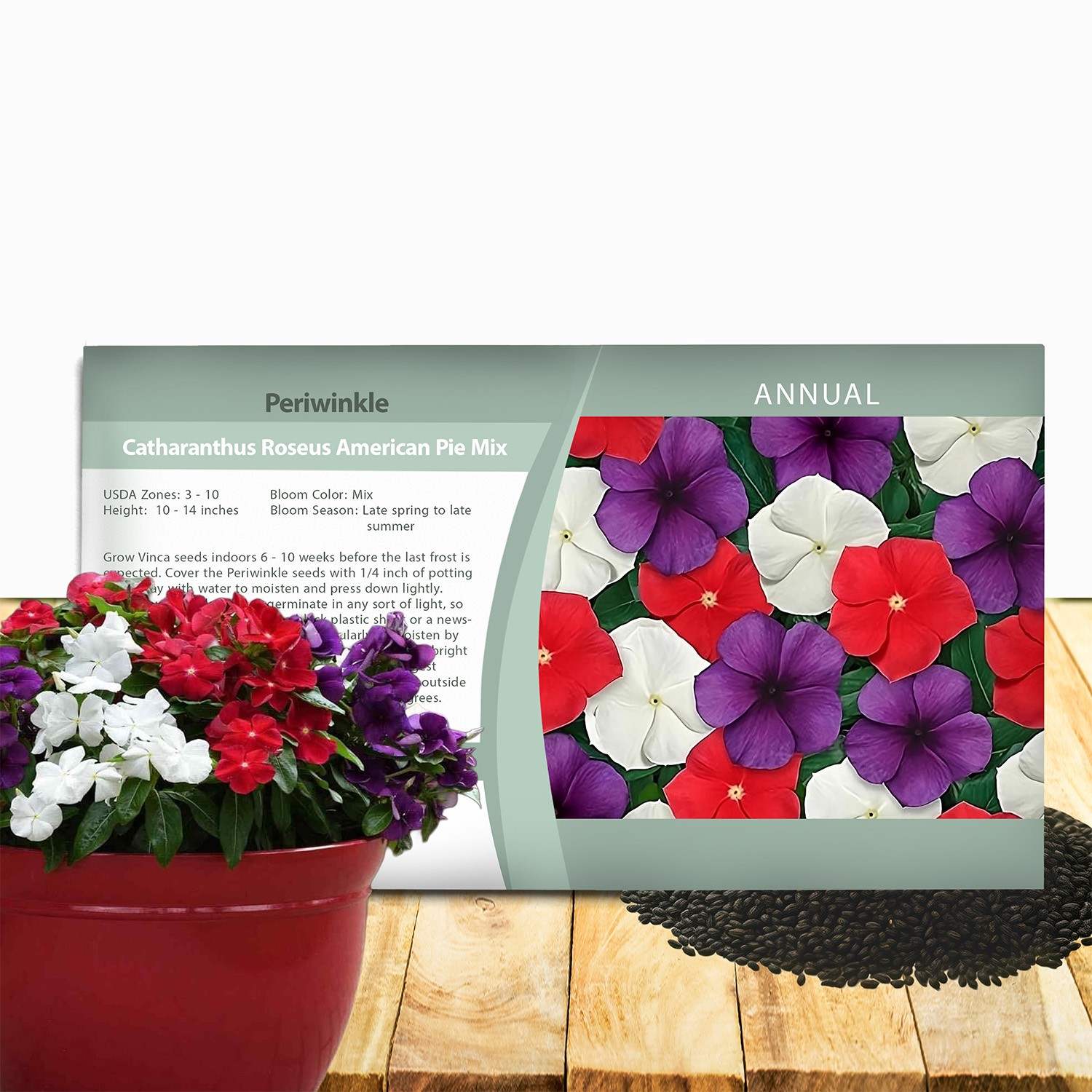 100 Seeds Vinca Periwinkle Seed Mix For Planting – American Pie Ground Cover