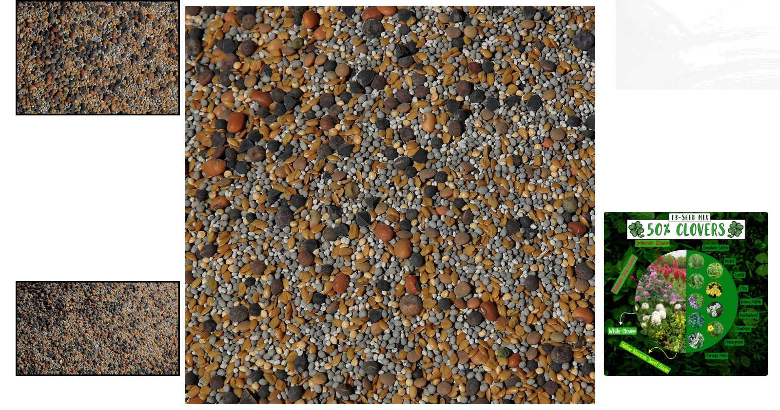 Natural No-Till ½-lb Seed Mix – Foster Beneficial Mycorrhizal Fungi Growth