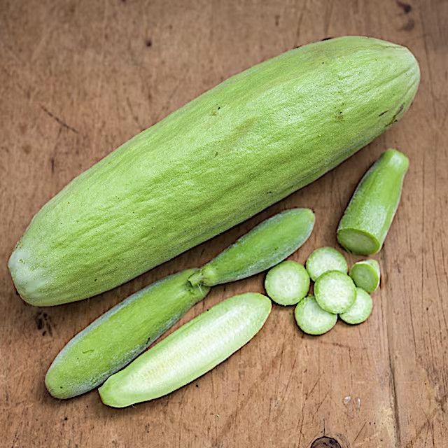 🌱NEW! Greek Heirloom Xylangouro Melon/Wood Cucumber Seeds 15+