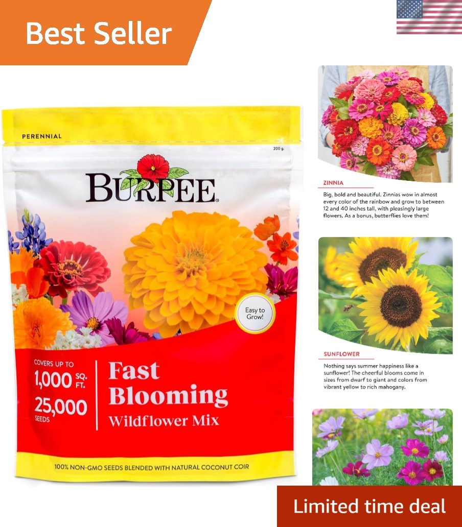 Attract Pollinators with 25,000 Easy Grow Wildflower Seeds – 14 Flower Varieties