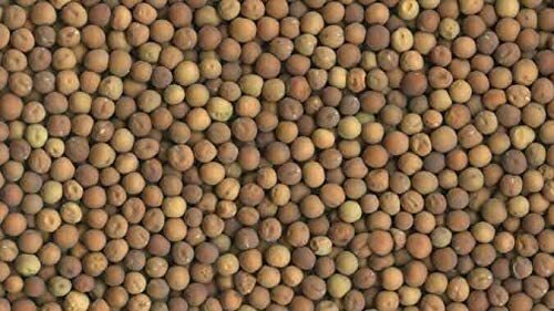 8 oz Brown Speckled Pea