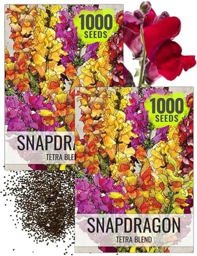 Seed Needs Tetra Snapdragon Seeds to Plant Mixed Cut Flowers 2 Packs