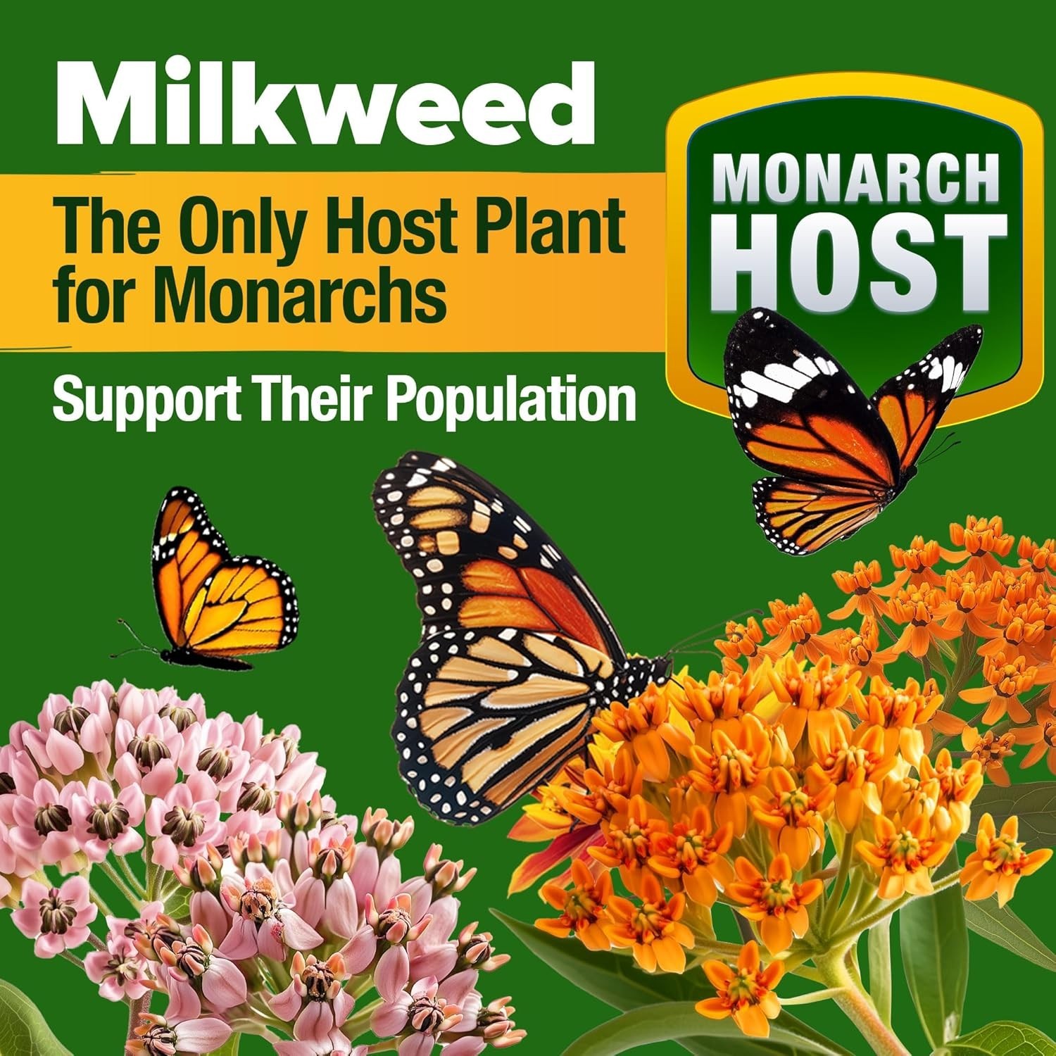 Spring-Summer Blooming Monarch Wildflower Seeds – 20000 Non-GMO Seeds for Beauty