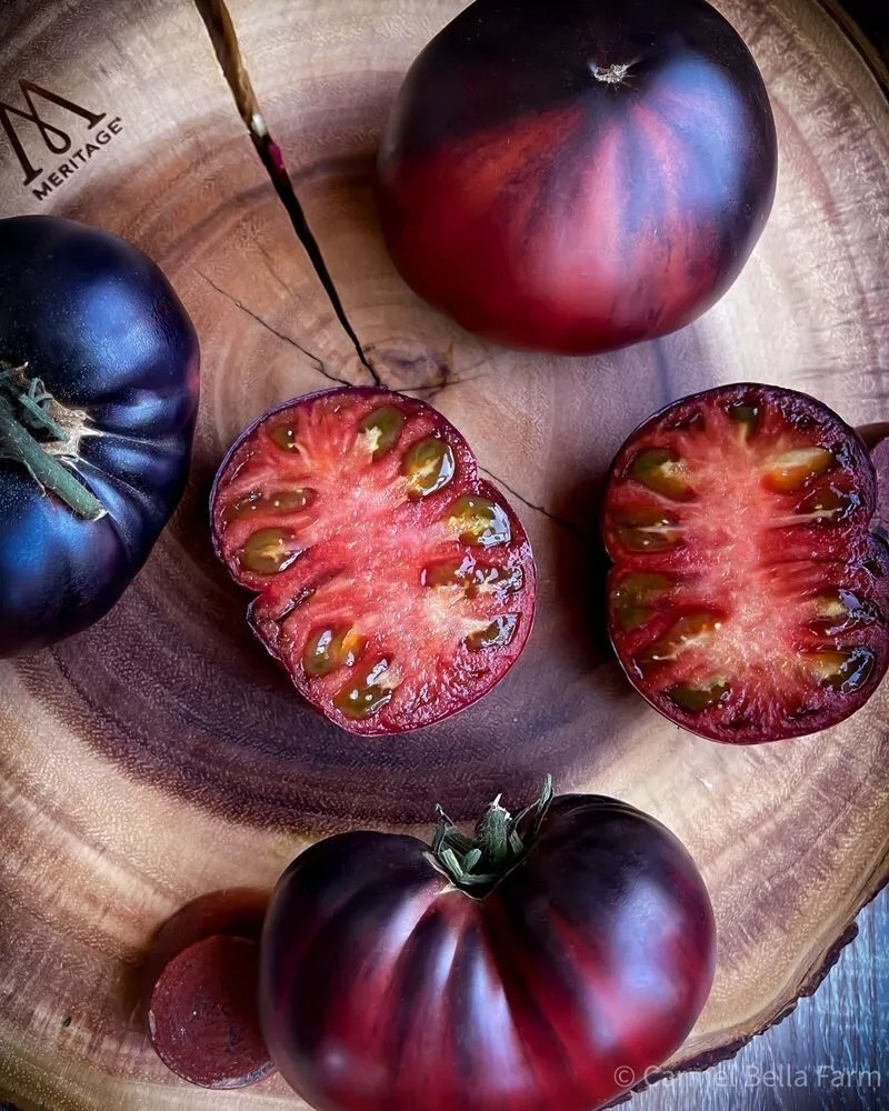 240+ Black Beauty Tomato Seeds – Organic – Heirloom —————— RARE