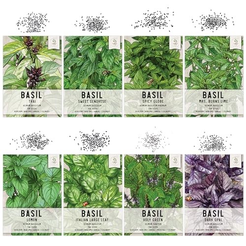 , Culinary Basil Herb Seed Packet Collection (8 Individual Basil Seed 8 Pack