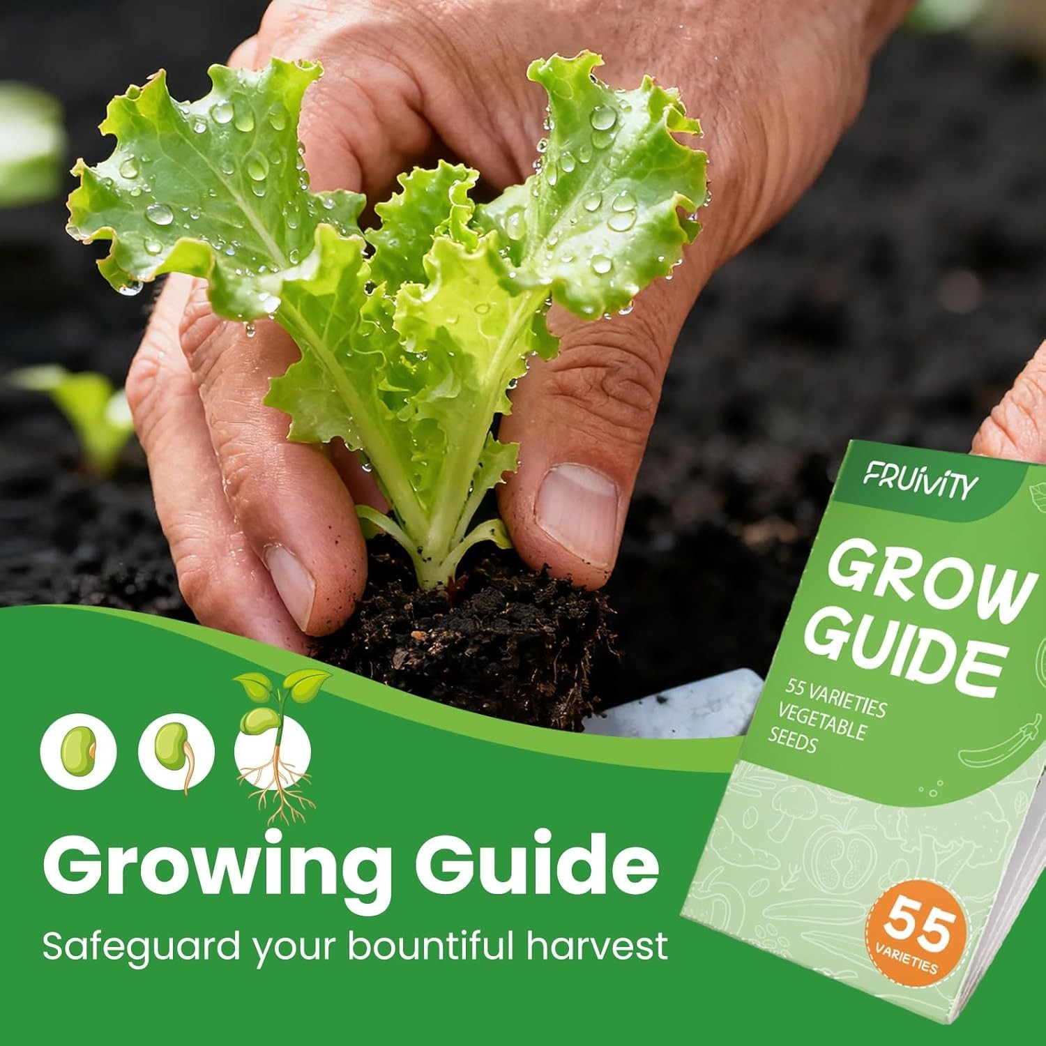 Complete 55 Vegetable Seeds Collection: Non-GMO Heirloom Seeds & Gift-Ready Pack