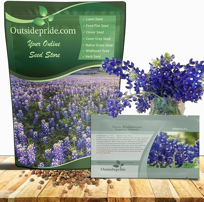 Texas Bluebonnet Seeds 1/4 Lb Annual Lupinus Texensis Drought-Tolerant