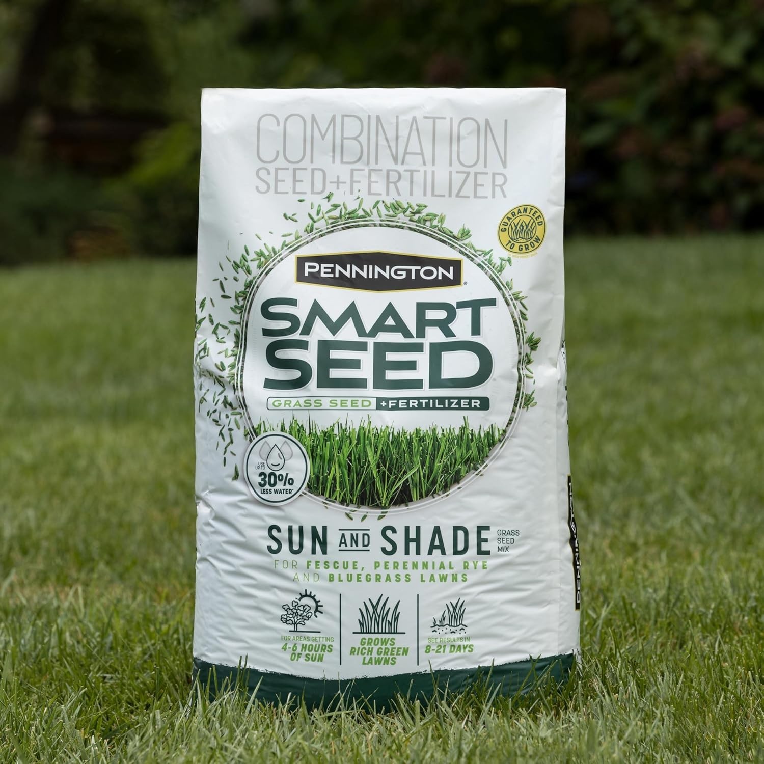 3 lb Sun & Shade Grass Seed Mix – Fast Germination and Water Efficient