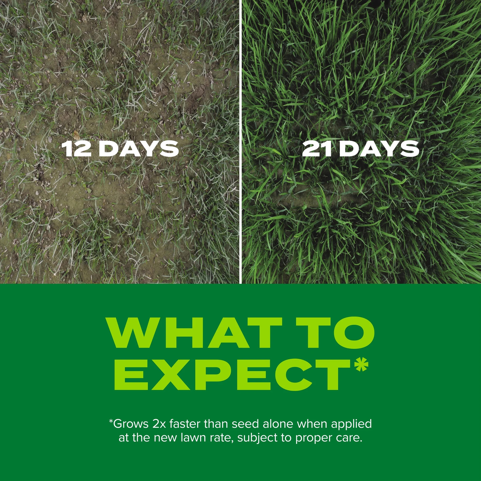 Scotts Turf Builder Rapid Grass Sun and Shade Mix, 2.4 lb., Seed & Fertilizer