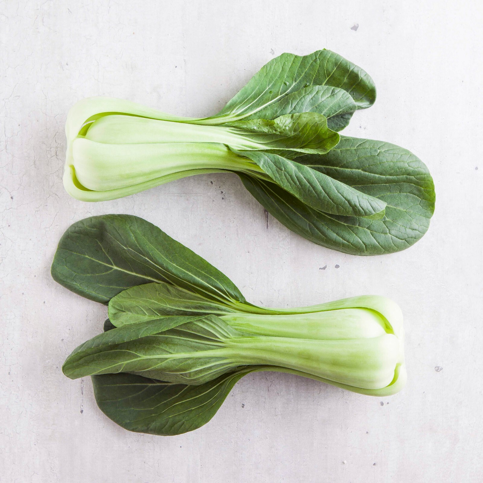 200+Chinese Cabbage Pak Choi Mei Qing Choi ShanghaiQing Seeds Vegetable USA