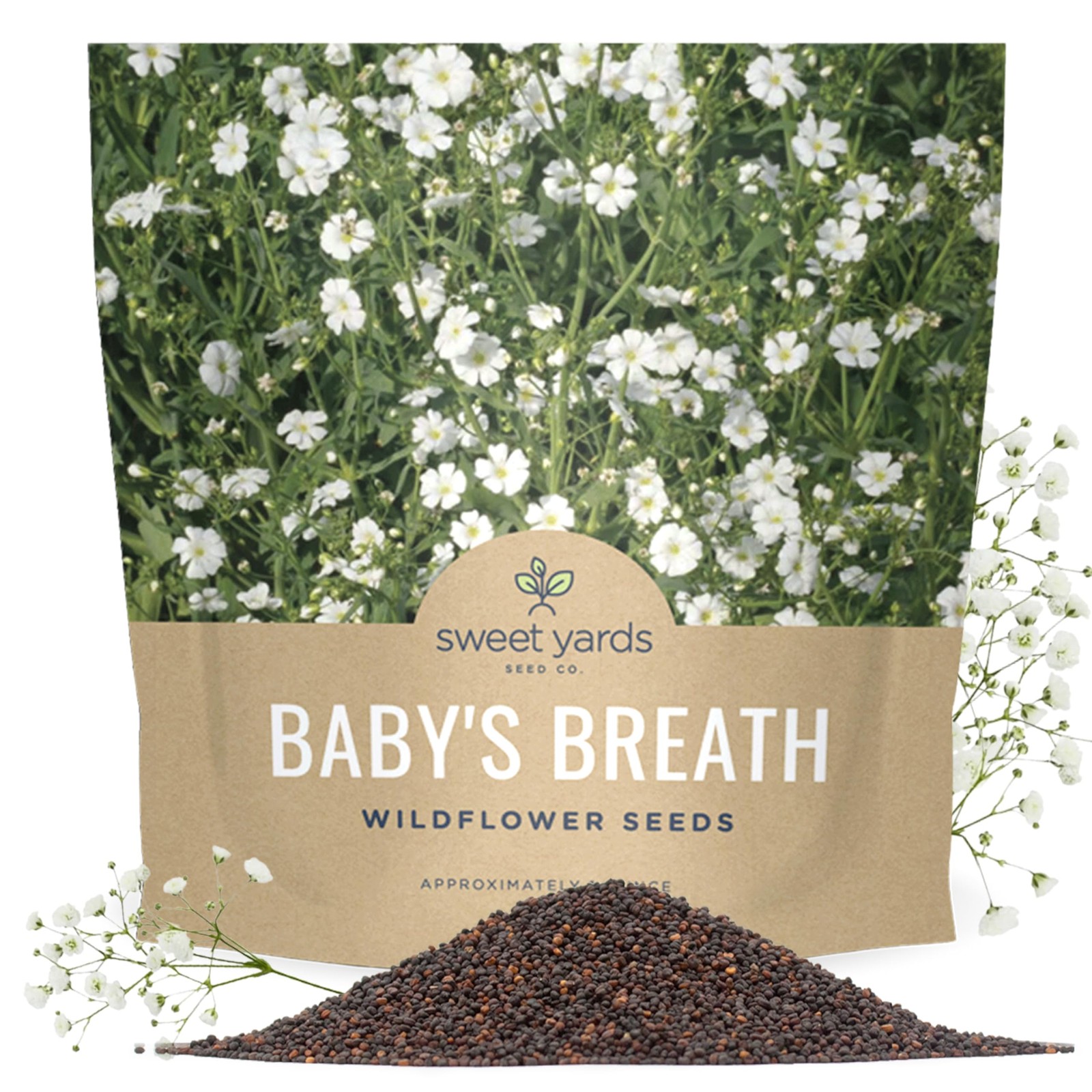 Showy Babys Breath Seeds, Bulk 1/4 Pound Bag, Over 80,000 Non-GMO Seeds
