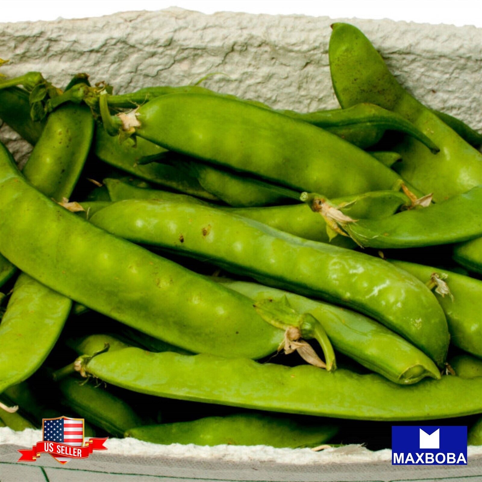 15 Snap Super Sugar Pea Fresh Seeds Non-GMO Heirloom Vegetable BTGO 75% OFF