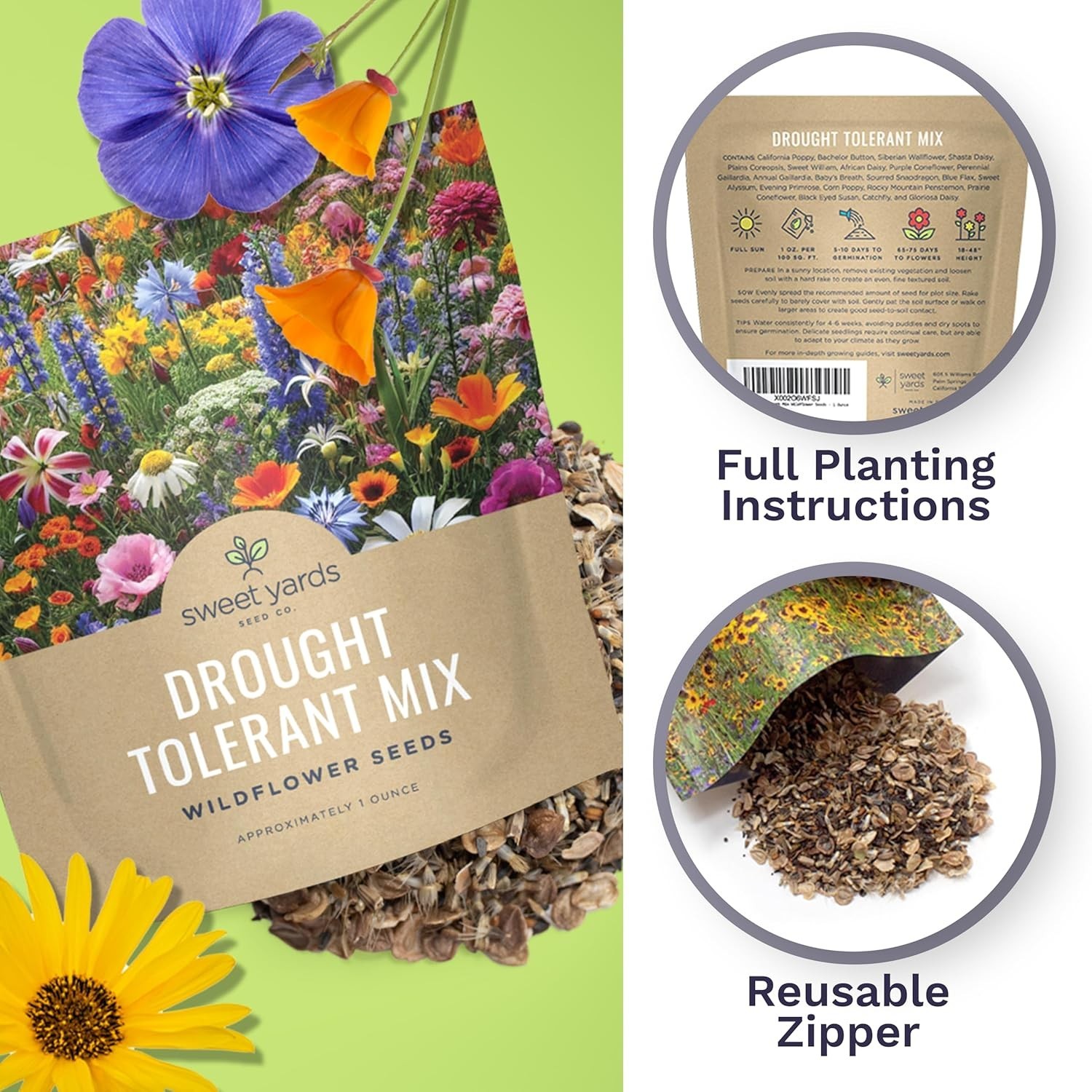 Extra Large Wildflower Seed Mix – Over 21 Species for Colorful Sustainability