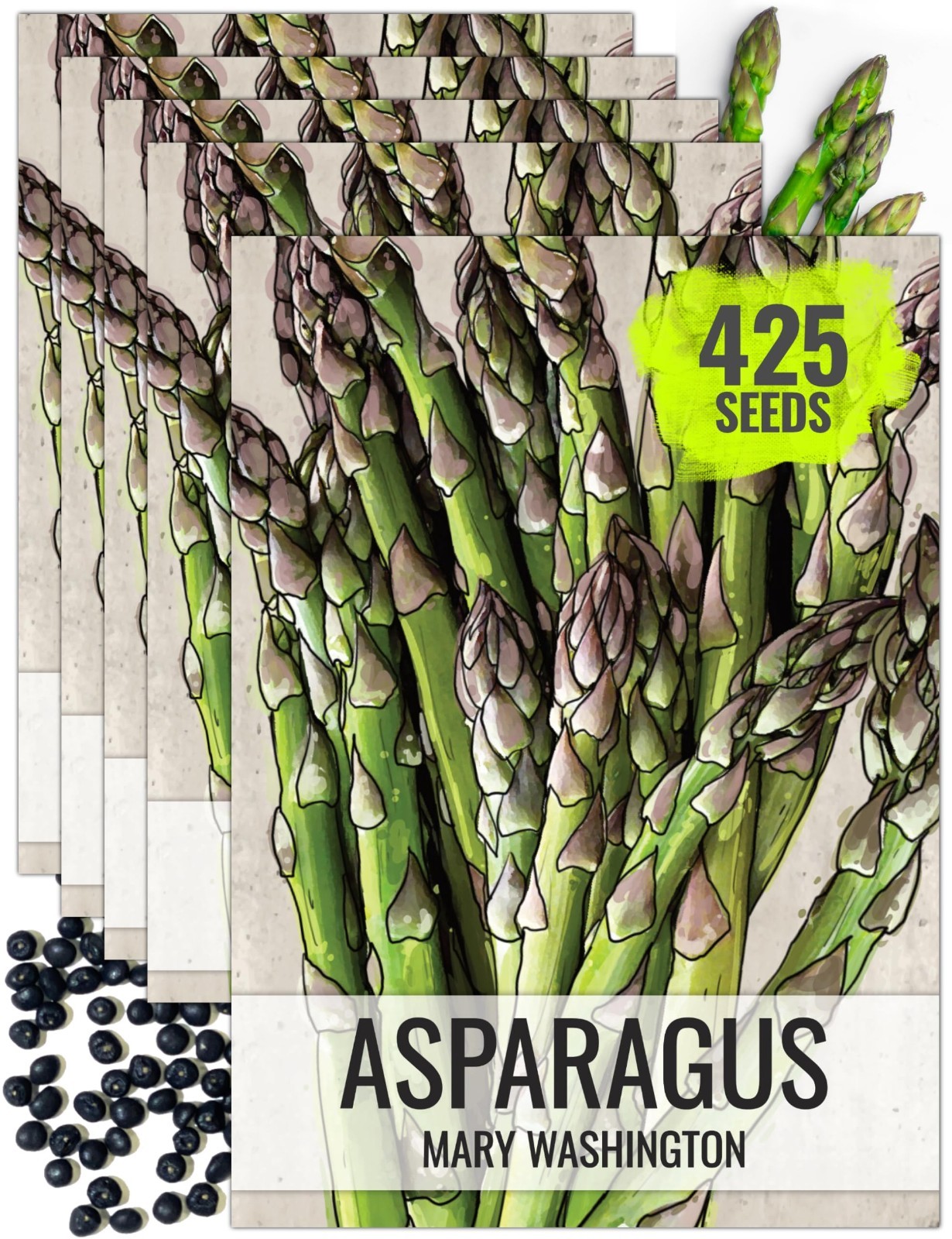 Non-GMO Heirloom Asparagus Seeds – Mary Washington Perennial Vegetable (5 Packs)