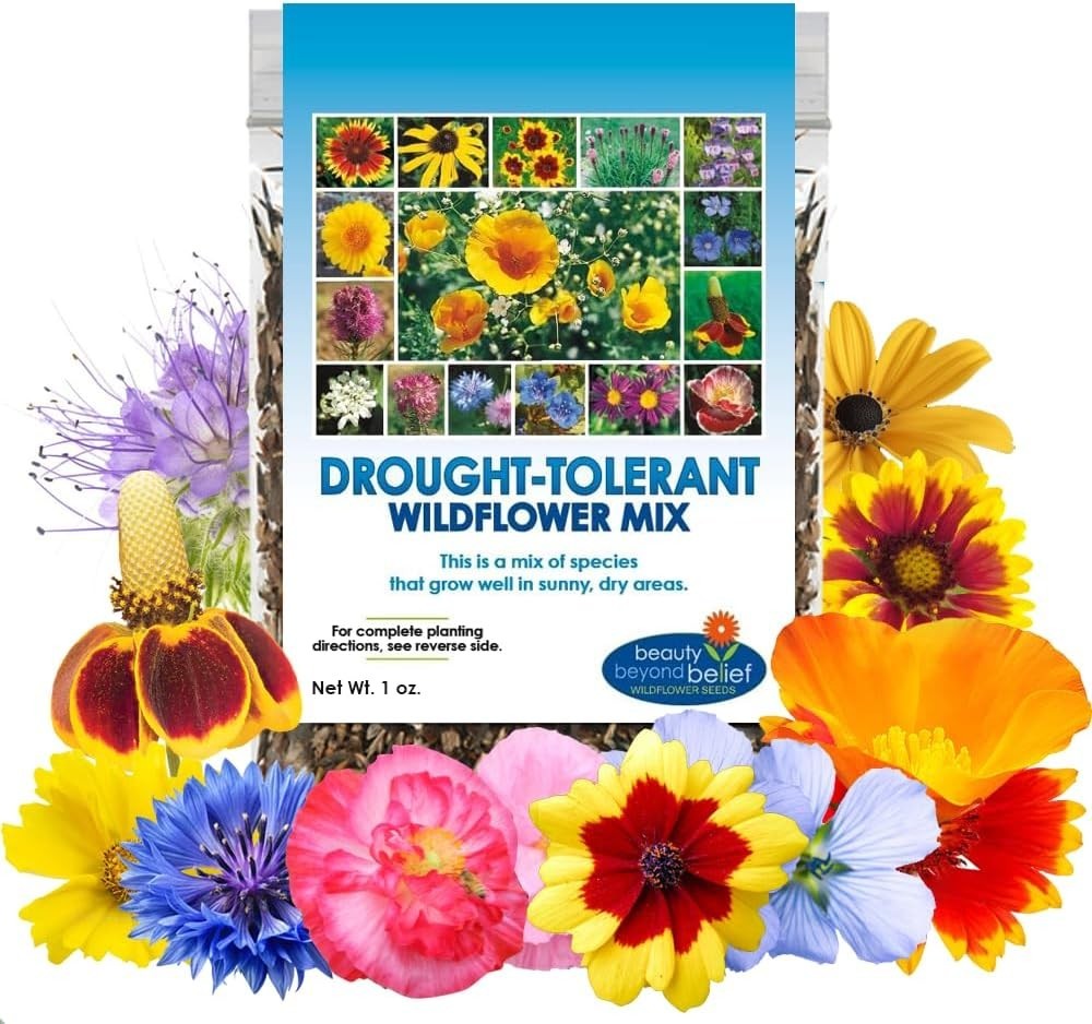 Beautiful Multi-Colored Wildflower Seeds – 1oz, Garden-Ready for Zones 2-10