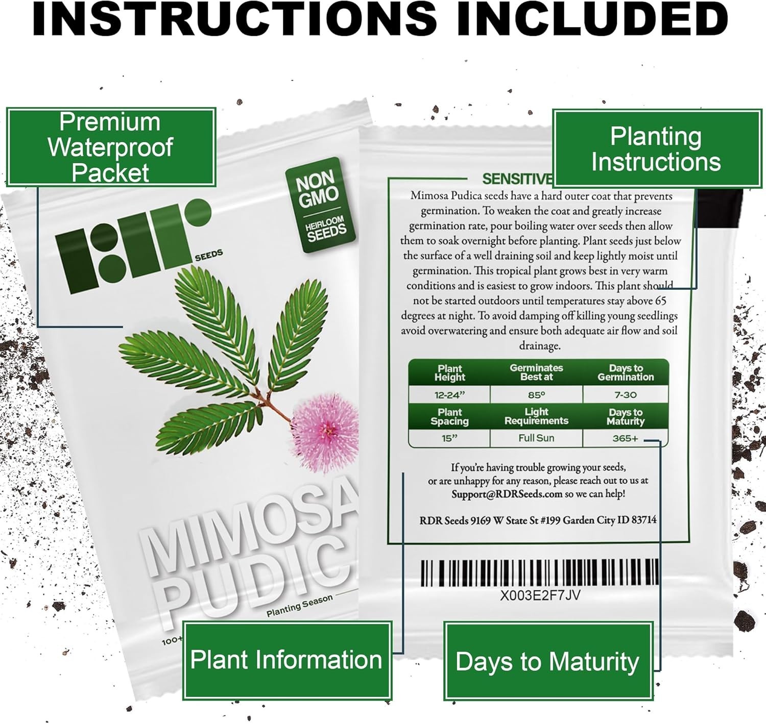 Mimosa Pudica Seeds – 100 Count of Shy Touch-Me-Not Plants for Sensory Gardening