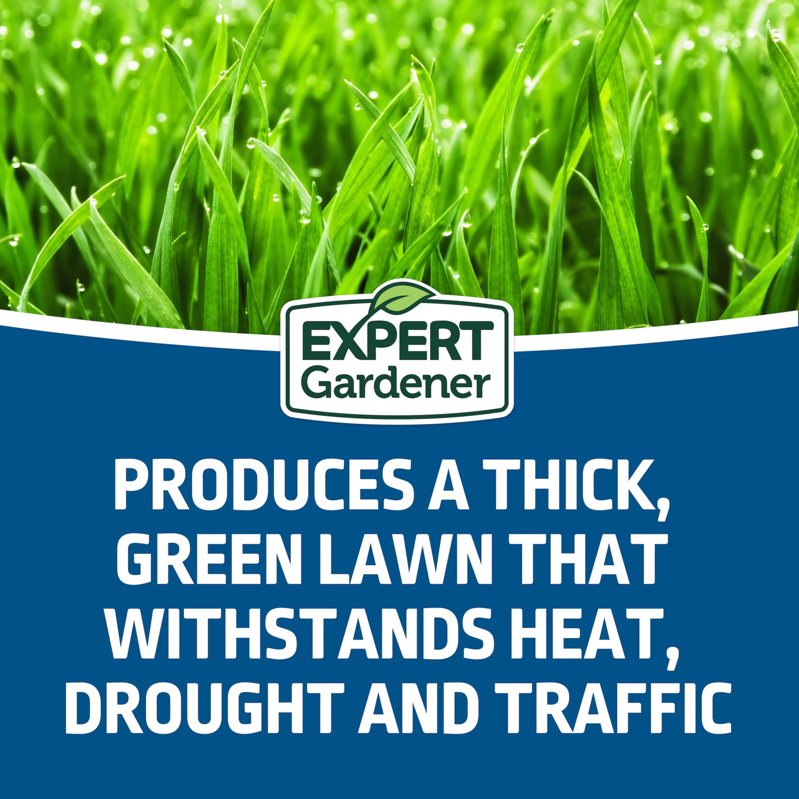Grass Seed Sun Shade Mix 7 lb Lawn Seed Southern Heat Drought Resistant