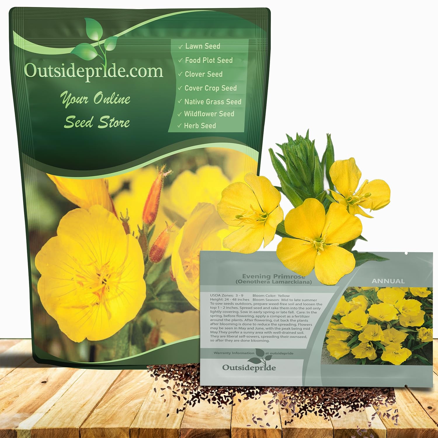 Evening Primrose Seeds 1/4 Lb. Hardy, Low Maintenance Flower Seeds for