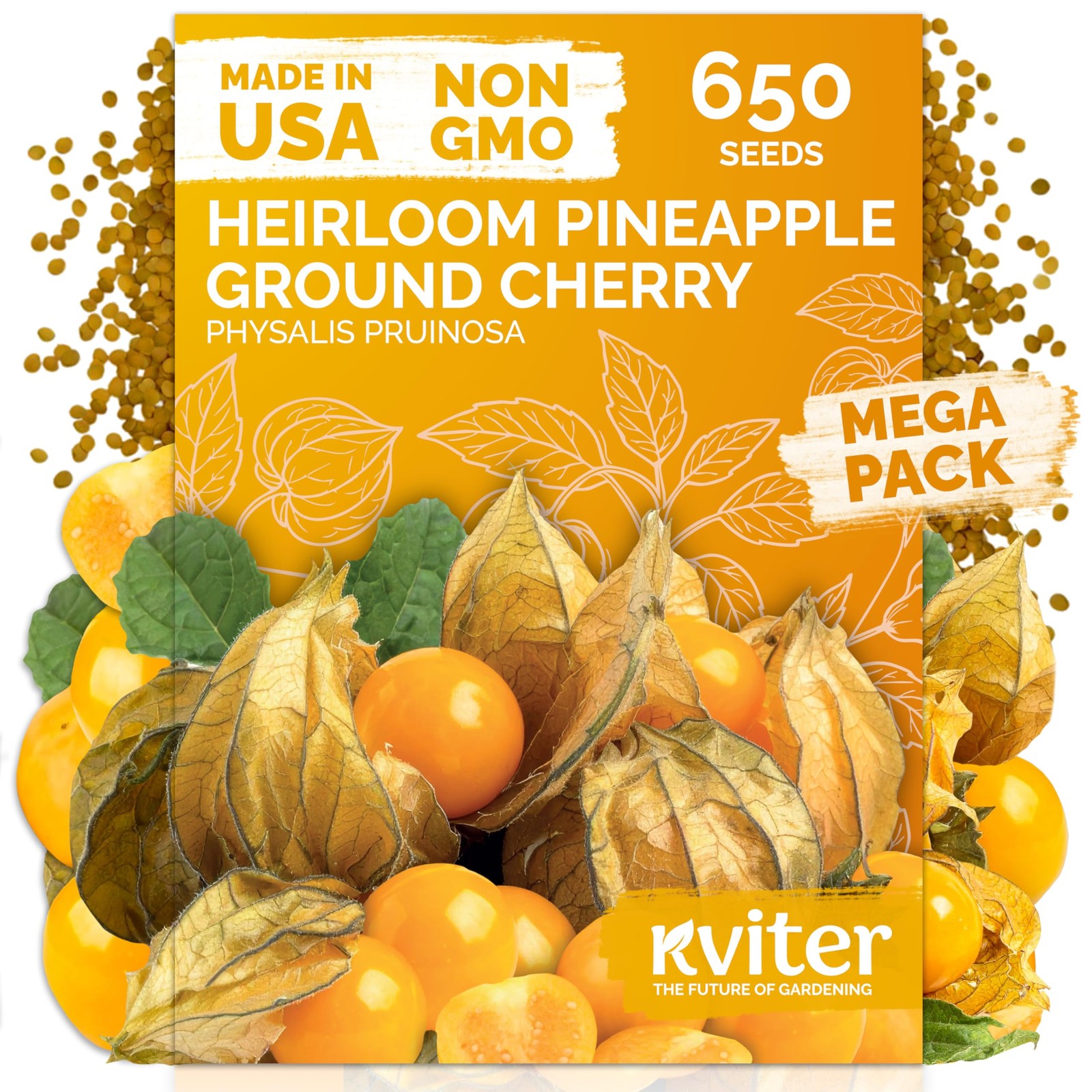 650 Aunt Molly Ground Cherry Seeds for Planting (Physalis pruinosa) – Non GMO…
