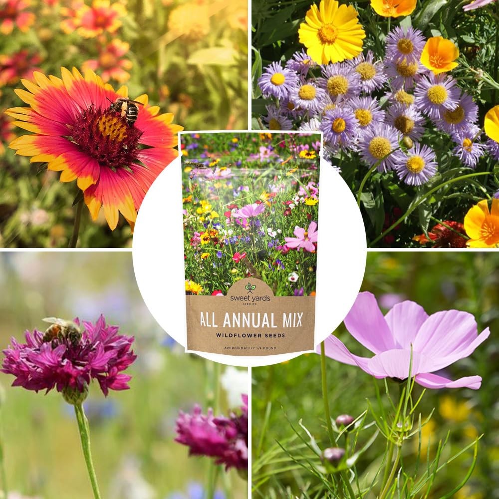 Bulk Wildflower Seeds Quick Blooming Mix 30,000 Open Pollinated Seeds