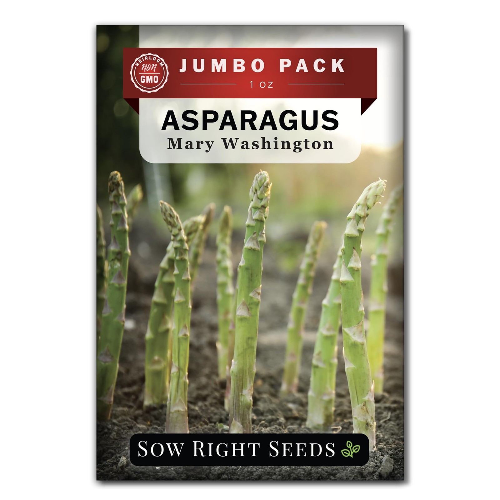 Bulk Mary Washington Asparagus Seeds for Planting 1 Ounce, 1600 Seeds NonG…