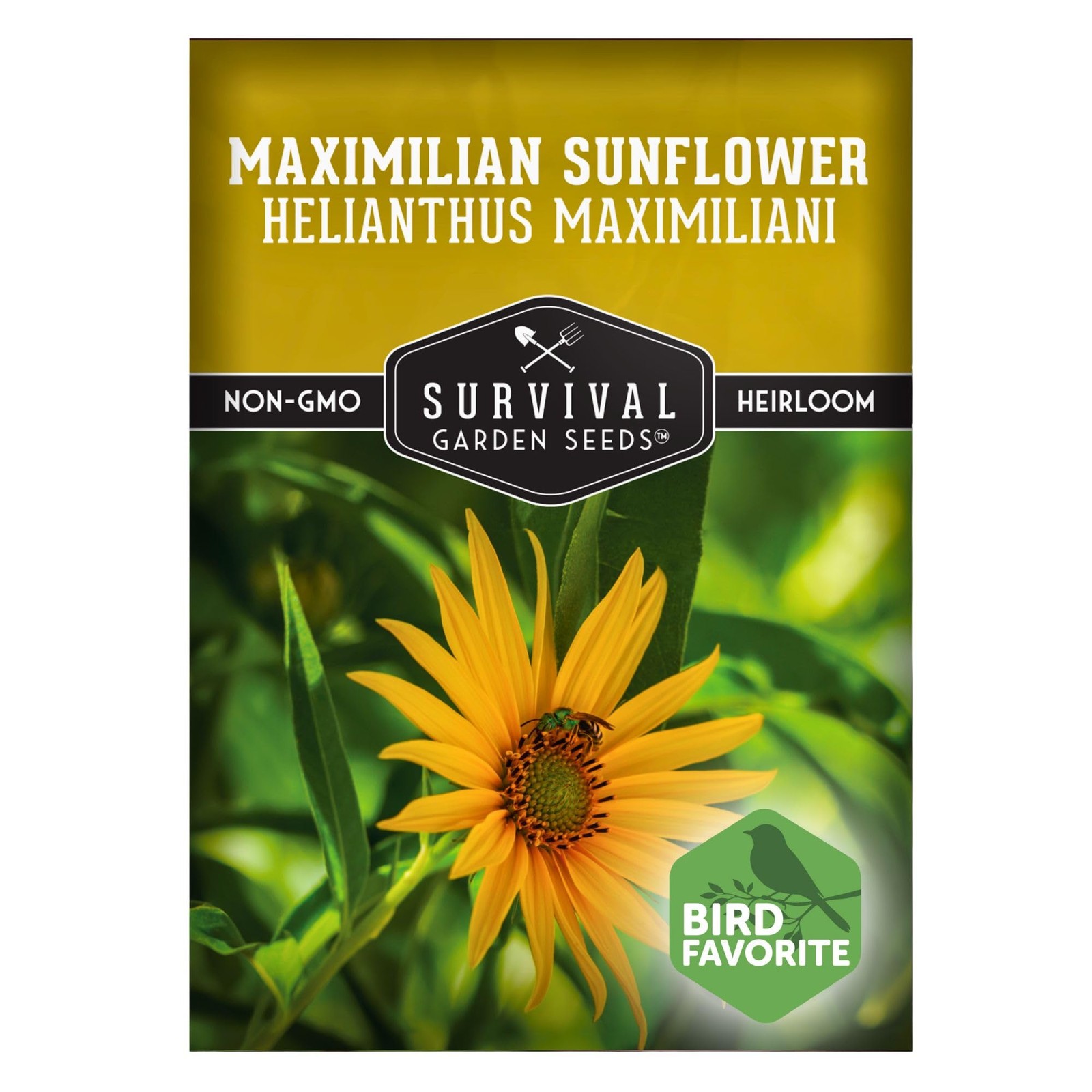 Maximilian Sunflower Seeds for Planting (Helianthus maximiliani) | 10-Foot Pr…