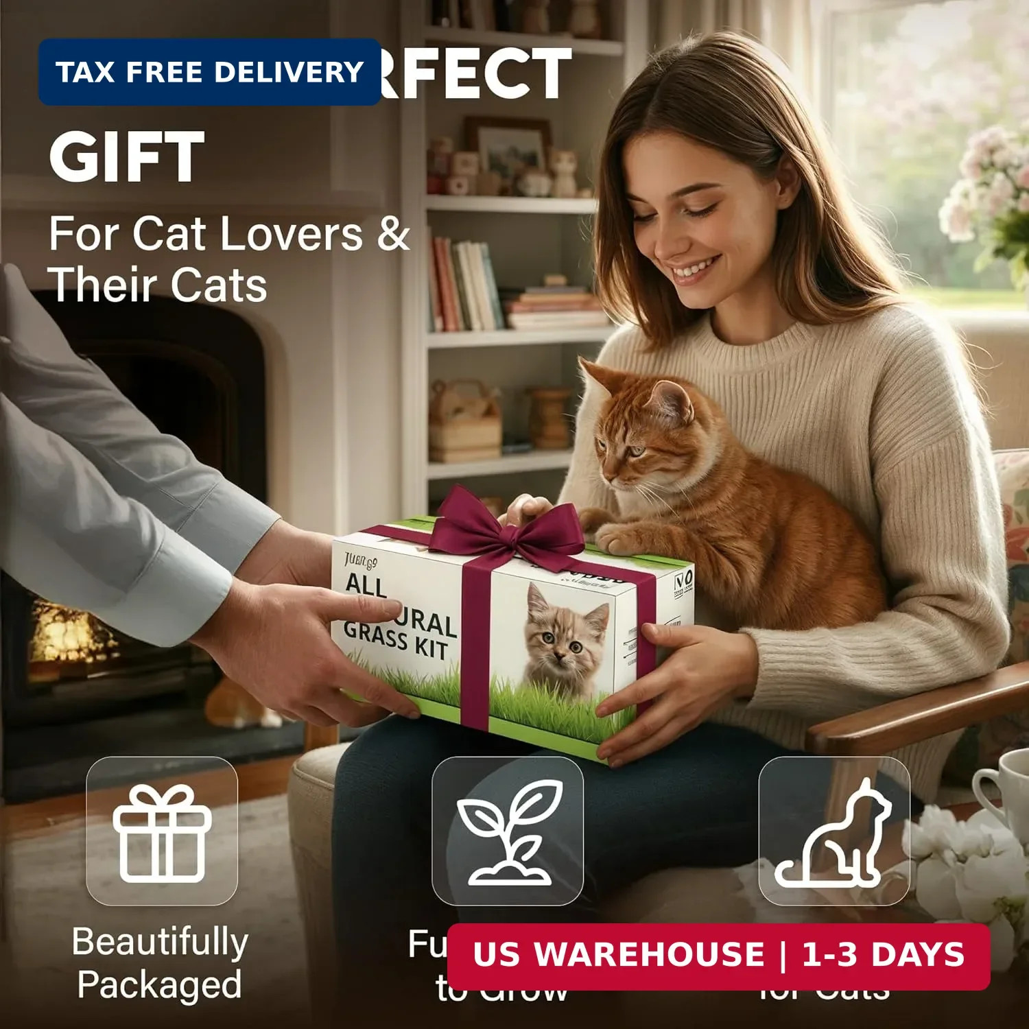 Cat Grass Kit for Indoor Cats – x4 Seed Packets | Cat Grass Seeds with Wooden Pl