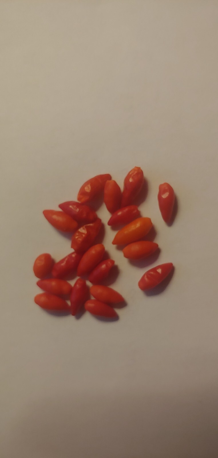 30 Bird’s Eye Chili Hot Peppers seeds , Non-GMO seeds Organic USA grown
