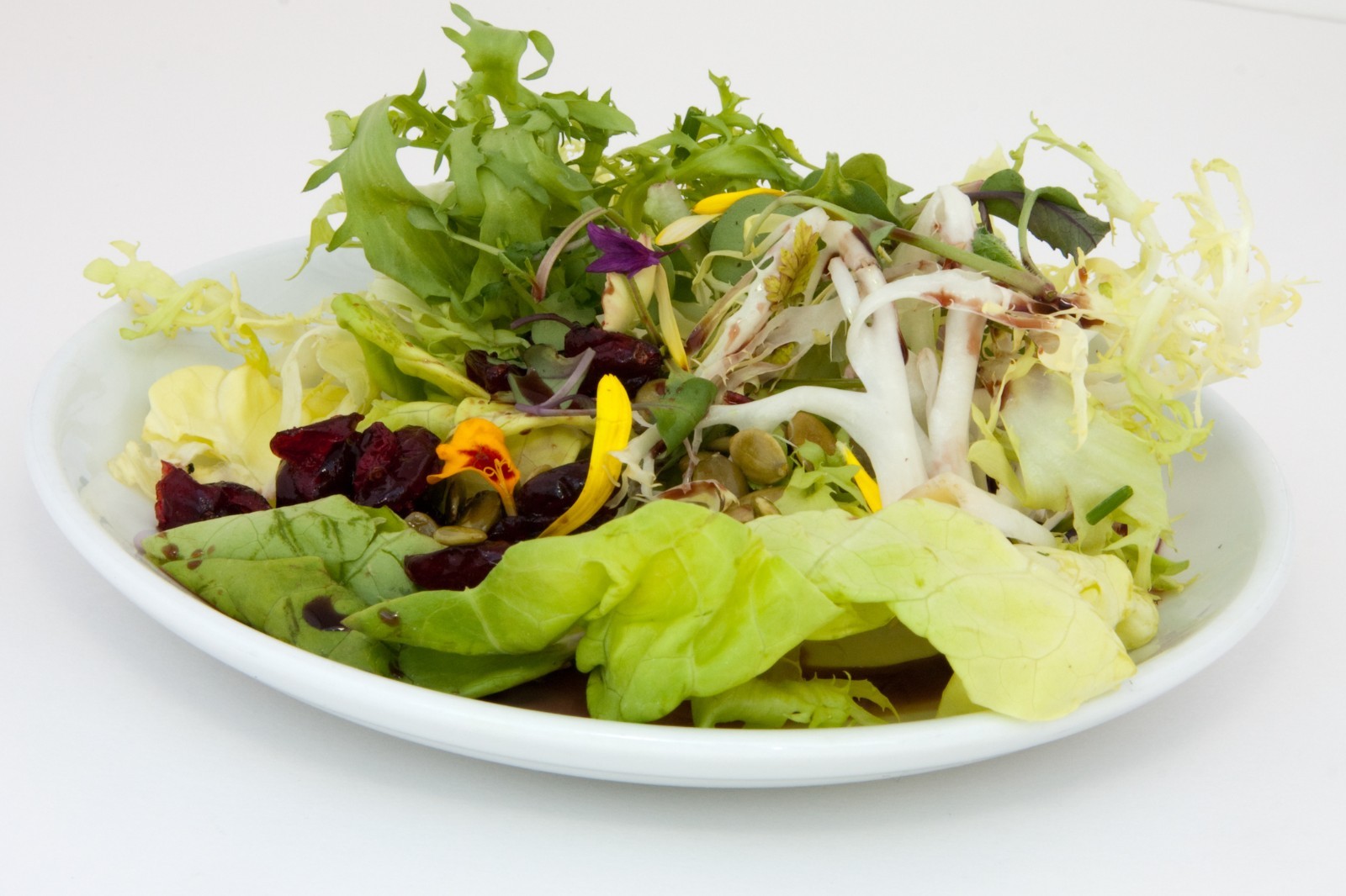 Bibb Lettuce Seeds