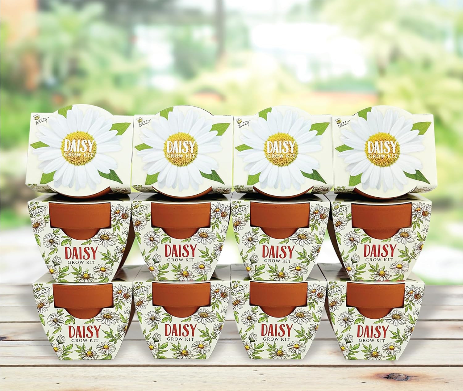 Seeds Daydream Mini Terracotta Pots 12-Pack with Daisy Seed Packets – All-In-One