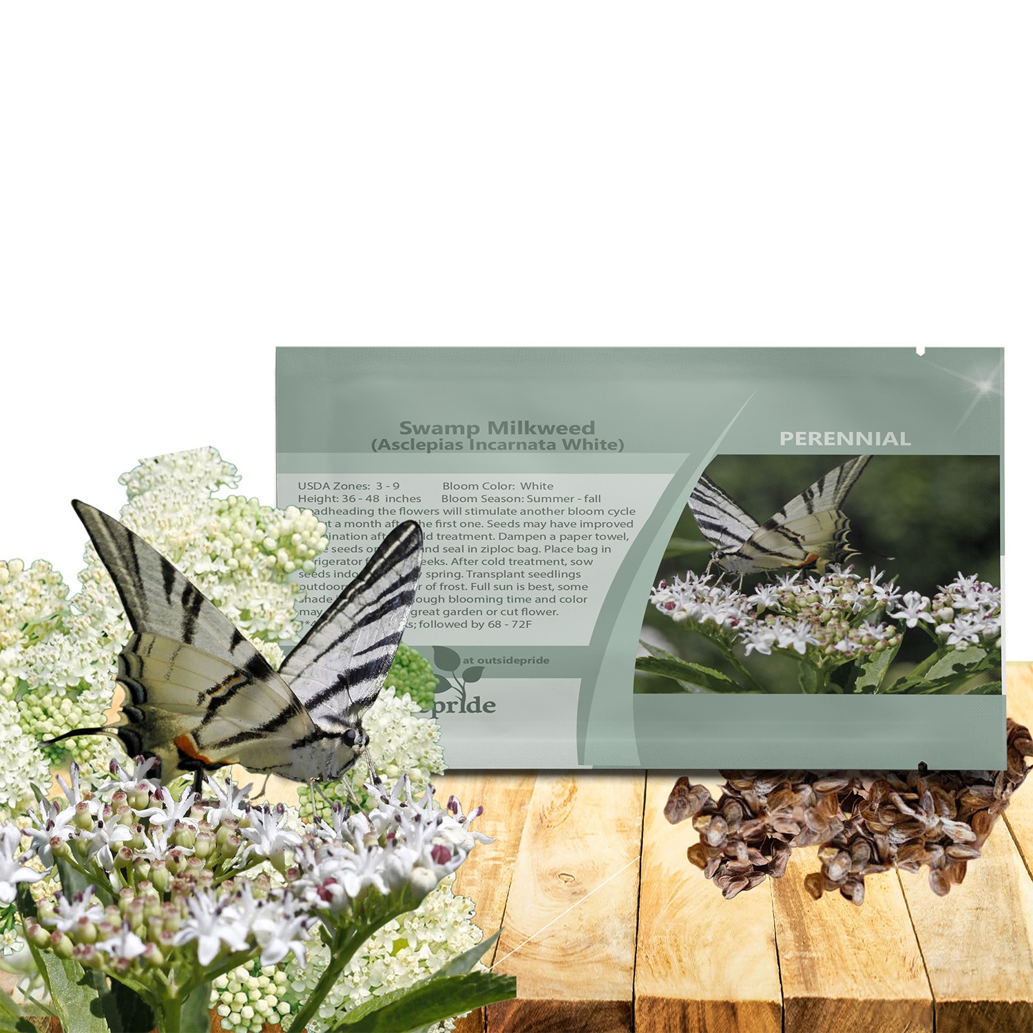 1000 Seeds Swamp Milkweed Seed – Asclepias Incarnata White Flower Seeds