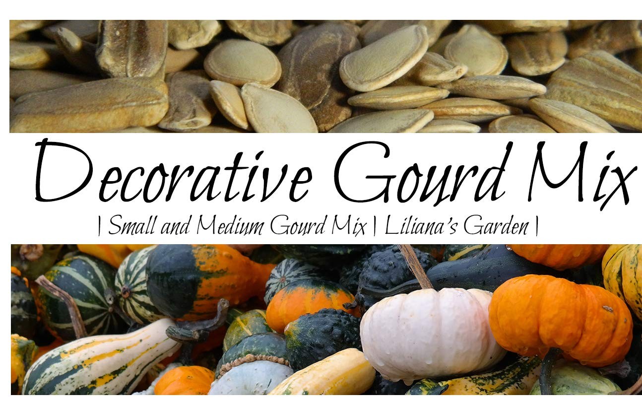 “Decorative Mix” Small and Medium Gourd Seeds – 7+ Varieties / Packet – Warte…