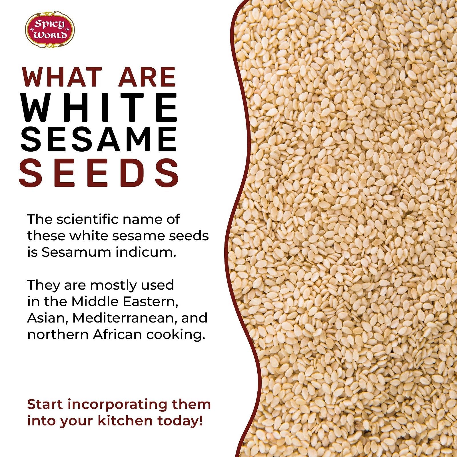 Natural Raw White Sesame Seeds 3 LB – Hulled Non-GMO Bulk Resealable Bag