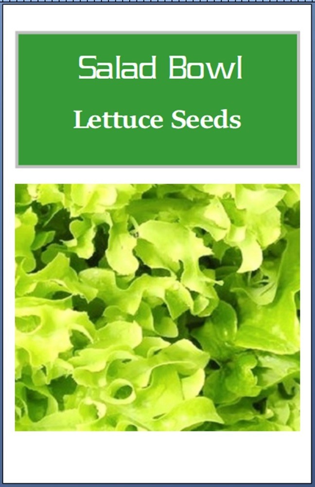 Salad Bowl Lettuce Seeds | NON-GMO | Heirloom | Fresh Garden Seeds