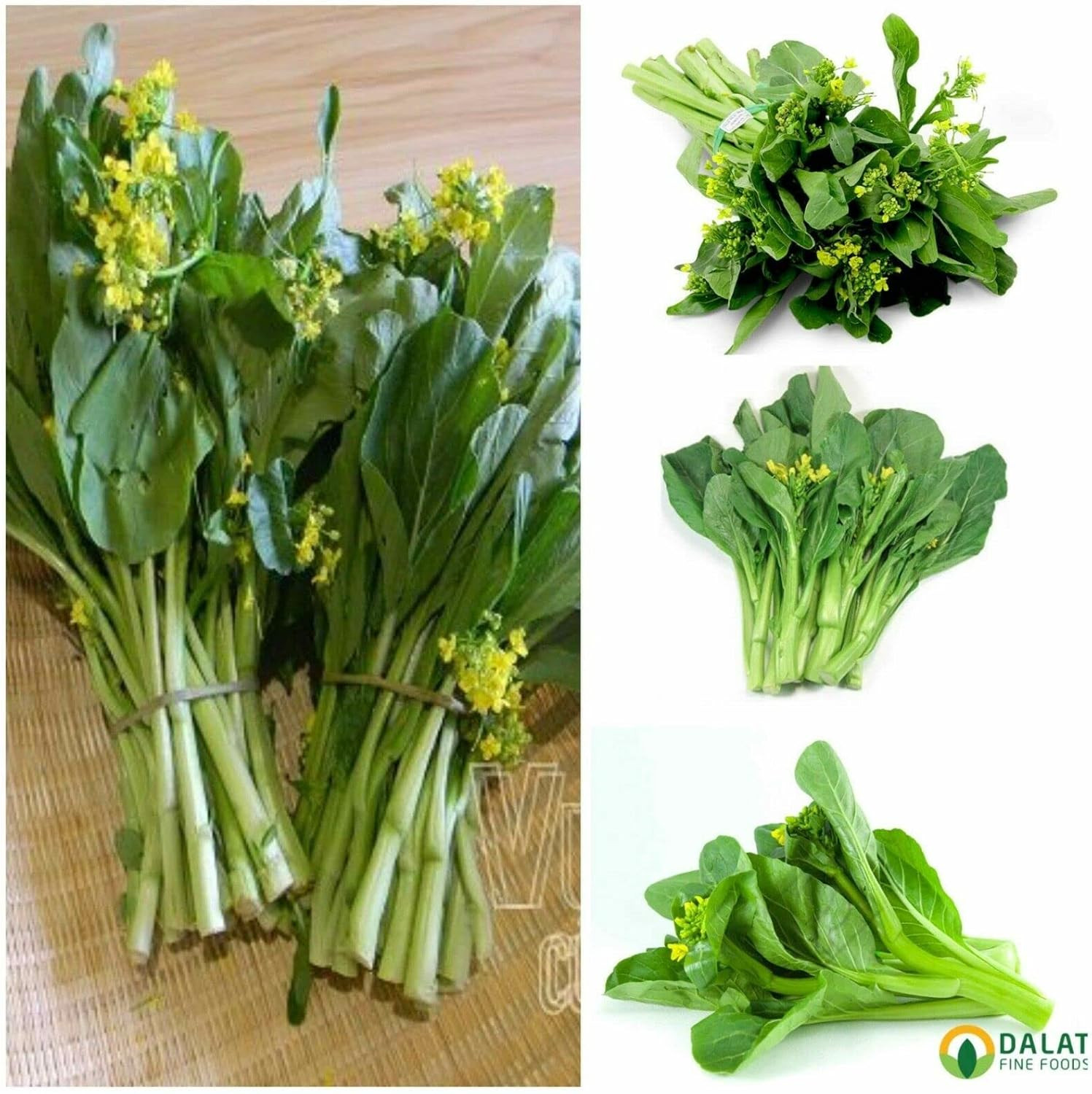 2000+ Seeds Brassica Juncea Choy Sum Mustard Yu Choy Sum Seeds, USA Chinese Broc