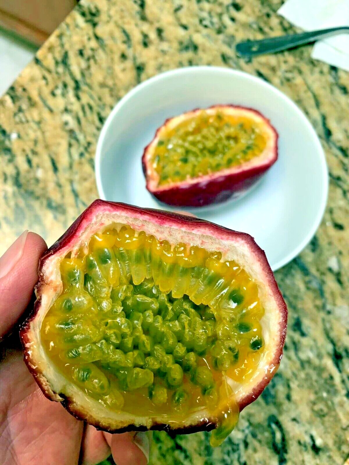 PURPLE PASSION FRUIT FLOWER SEEDS Granadilla Passiflora edulis Garden Vine Plant