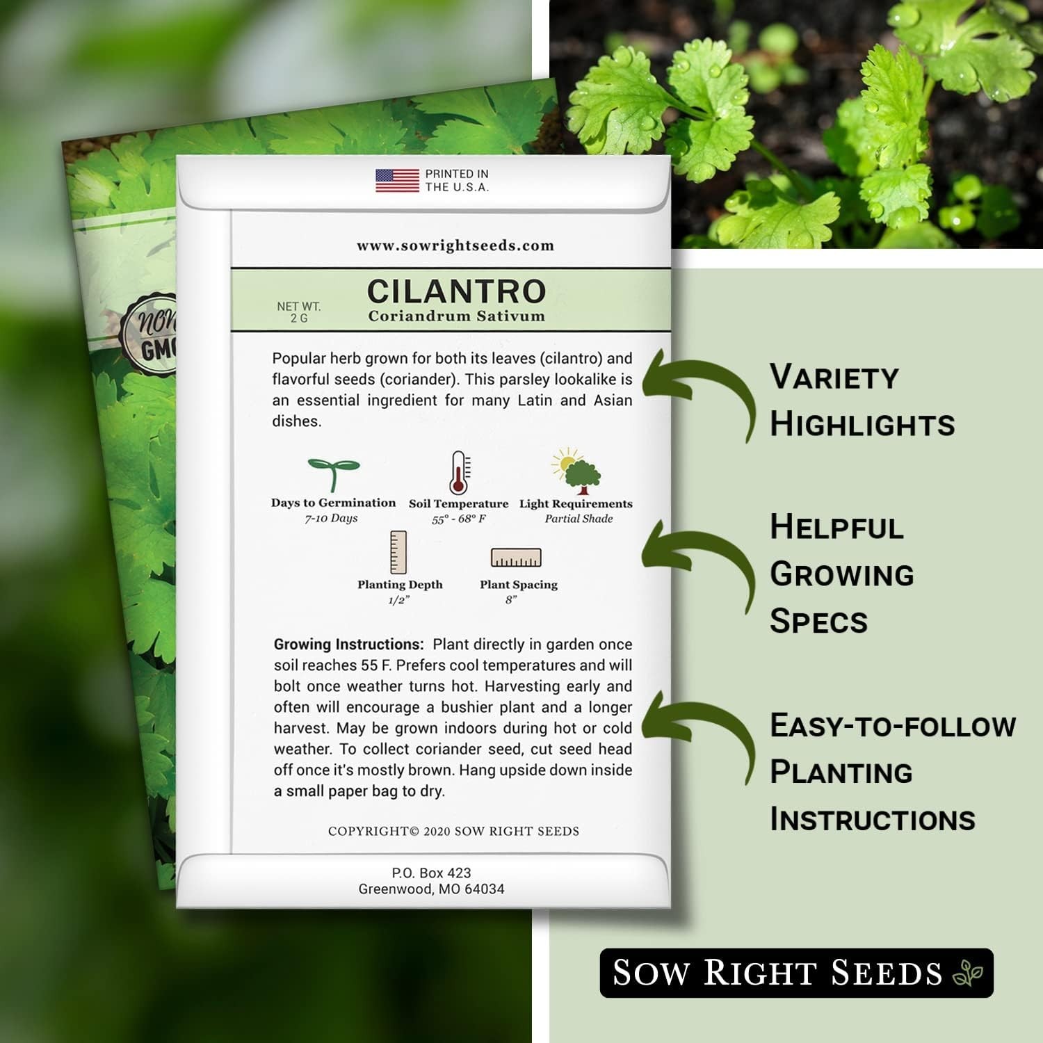 Heirloom Cilantro Seeds Non GMO Indoor Outdoor Planting Packet with Instructions