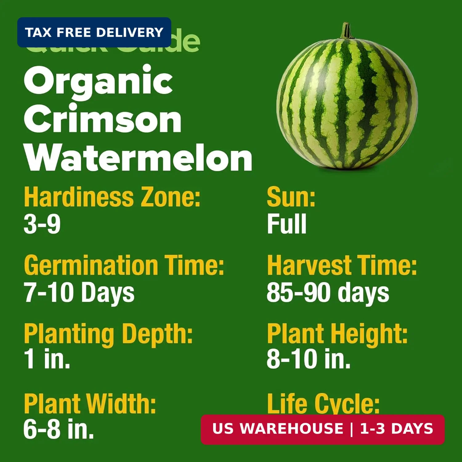 HOME GROWN Organic Crimson Sweet Watermelon Seeds 15+ Heirloom Non-GMO, High Ger