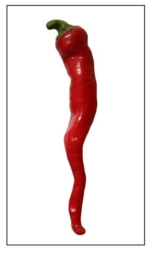 Maule’s Red Hot Pepper – AKA “Long Hot Italians” 25+ Seeds
