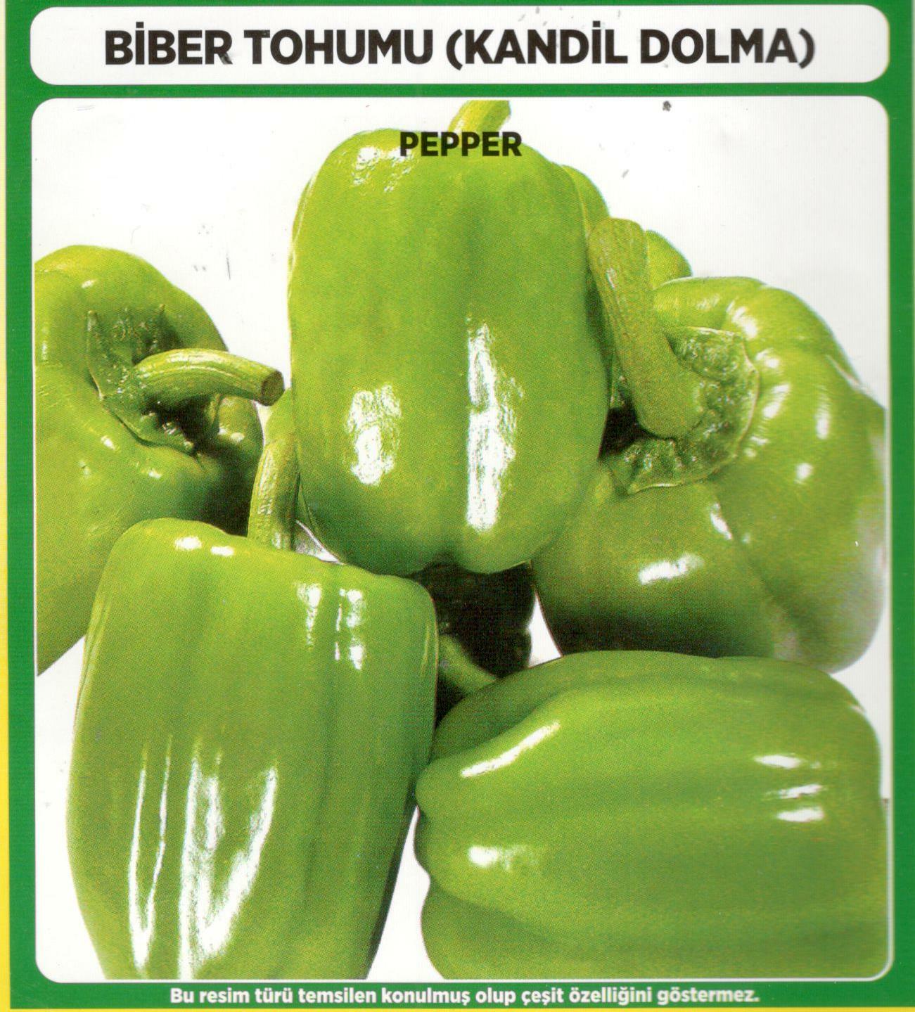 Pepper Seed Turkey Kandil Dolma Sweet 25 pcs Seeds