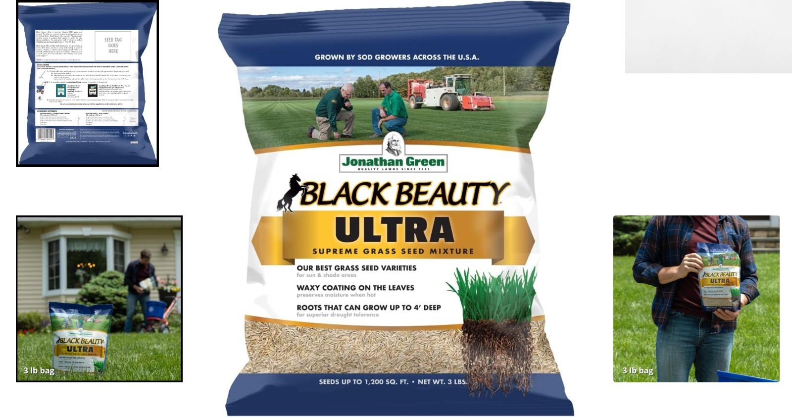 Black Beauty Ultra Grass Seed 3 lb – Quick-Germinating Cool Season Lawn Solution