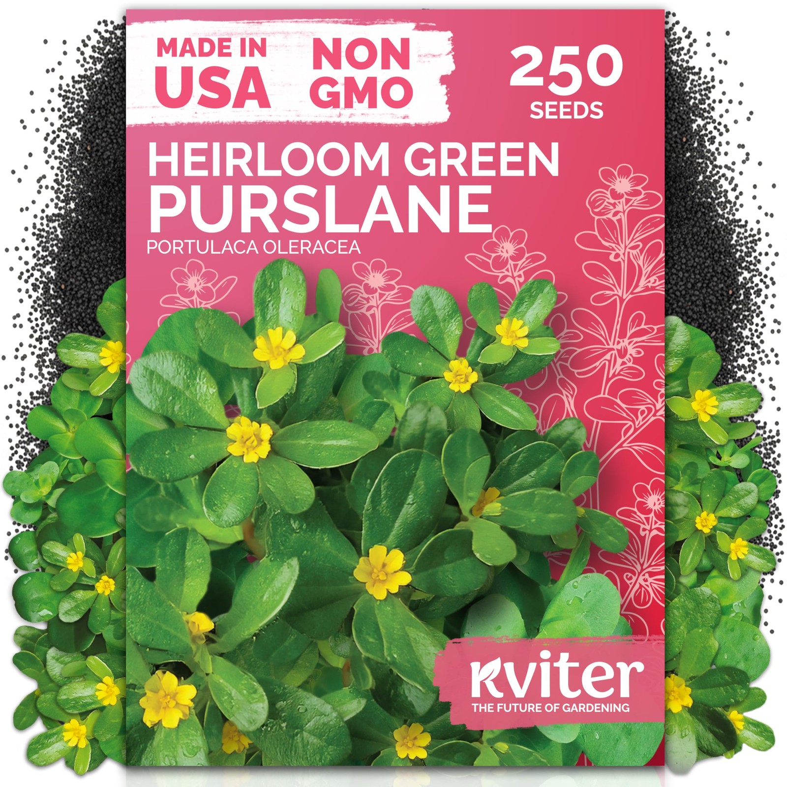 KVITER 250 Purslane Seeds (Portulaca Oleracea Sativa)