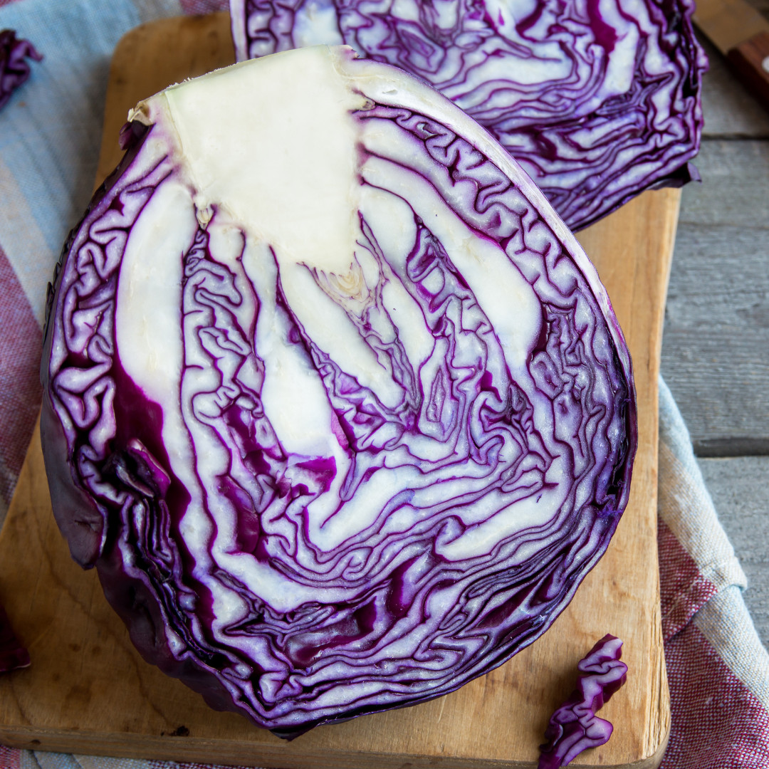 Fresh Crisp Endive Seeds | Radicchio| Heirloom Non-GMO | Vegetable Seeds
