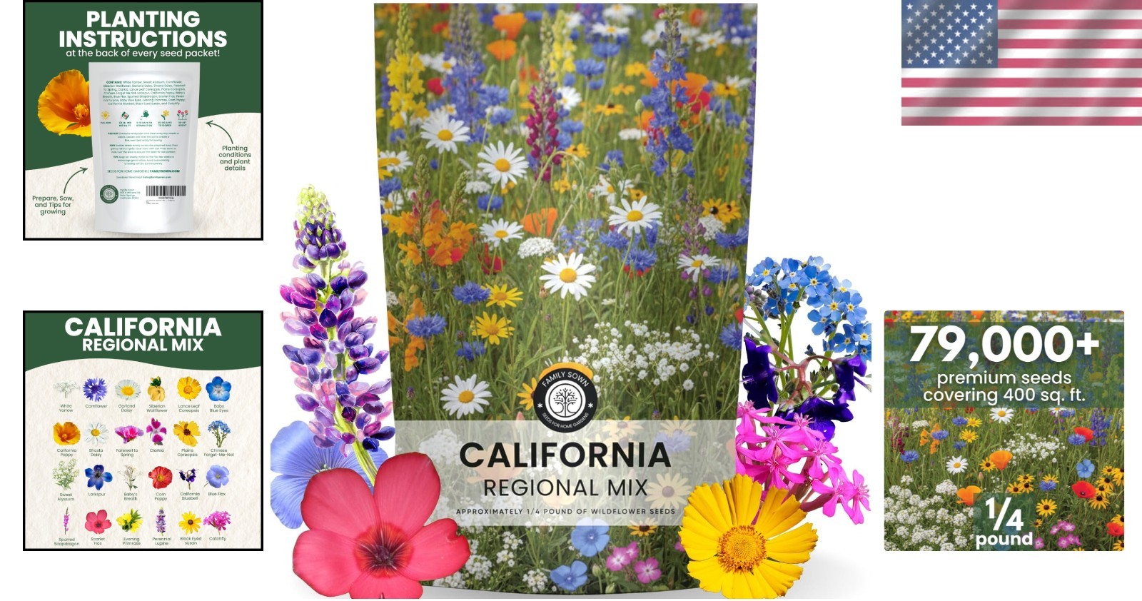California Wildflower Seed Collection – 79,000 Seeds for Low-Maintenance Beauty