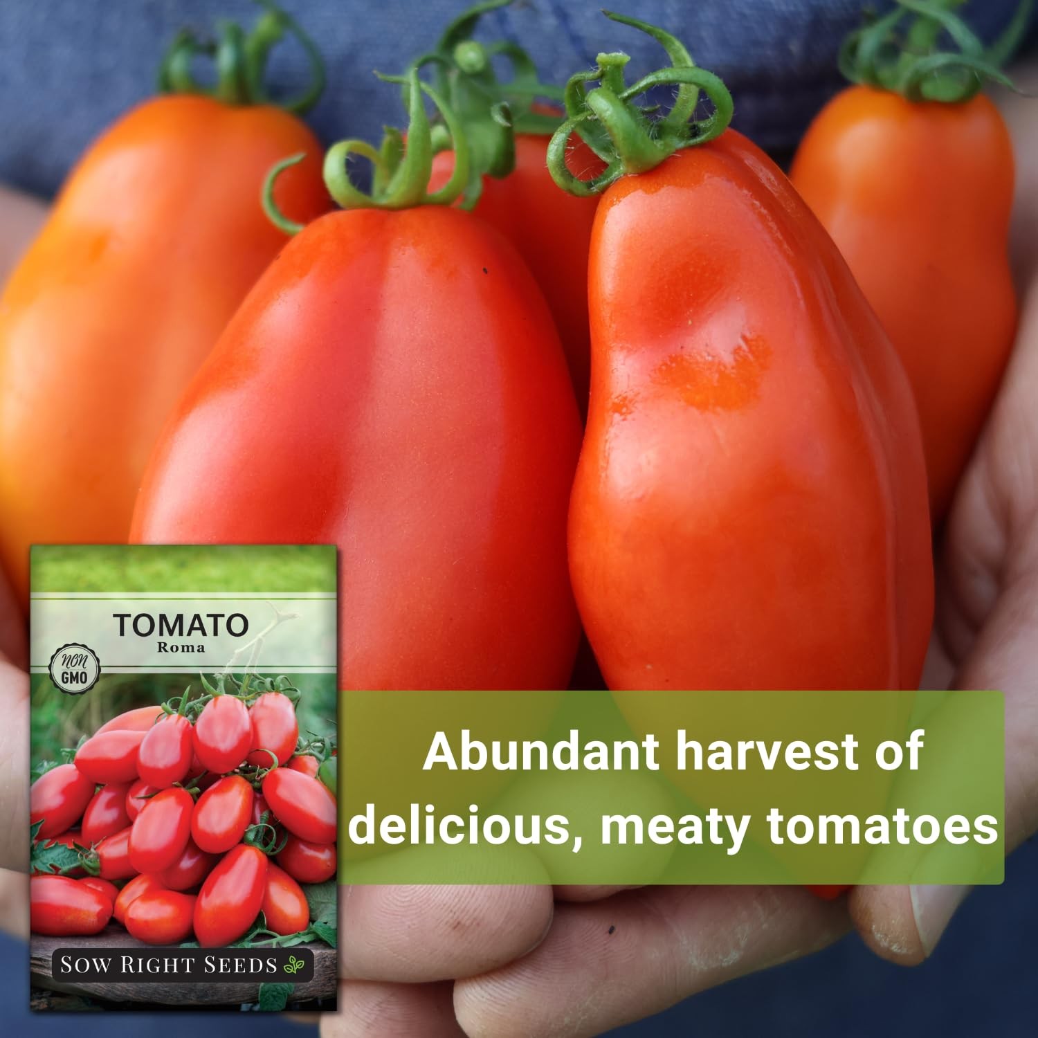 Roma Tomato Seeds NonGMO Heirloom, High Yield for Home Gardens and Canning