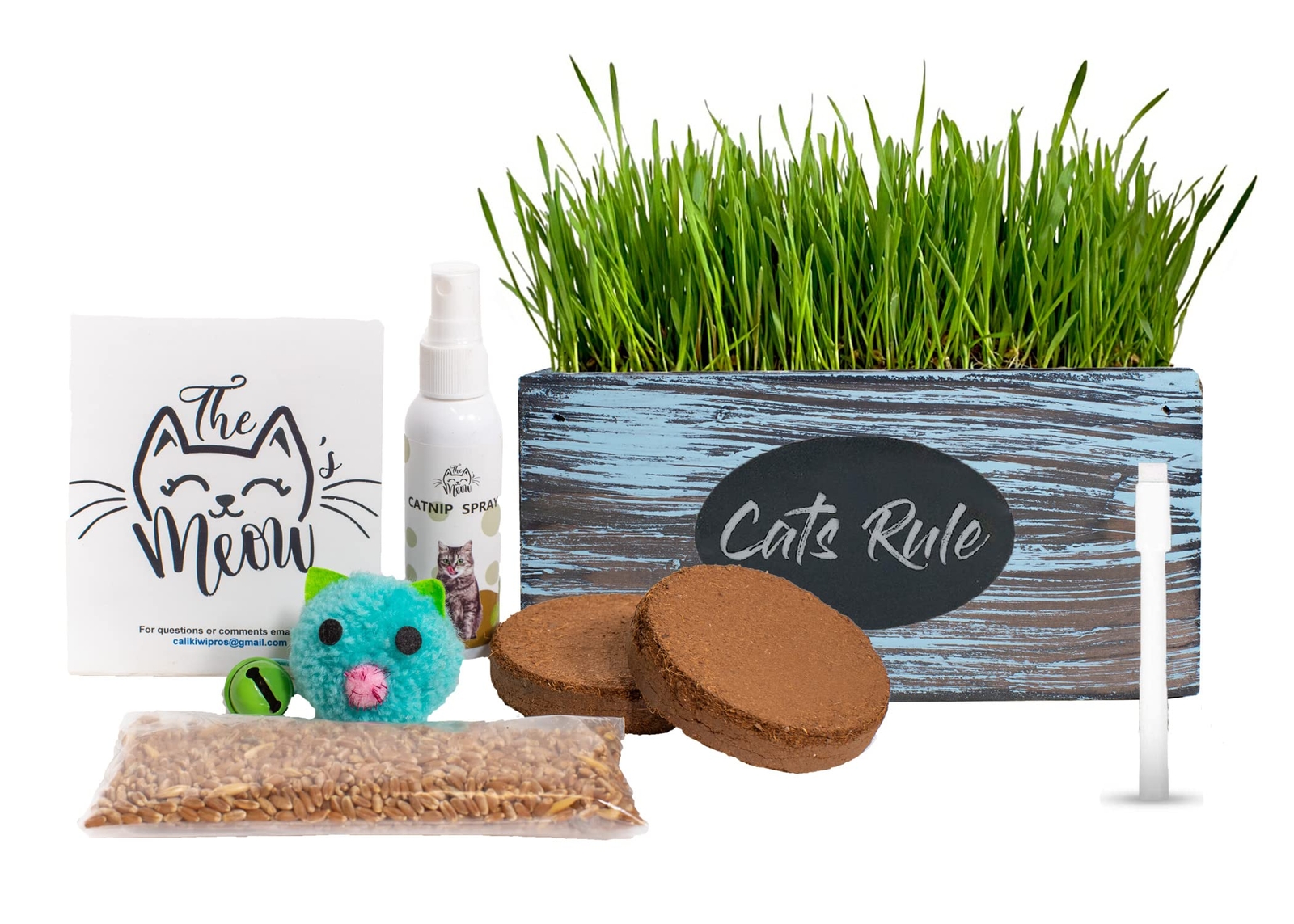 Cat Grass for Indoor Cats – Ornamental Indoor Planter with Pet/Cat Grass Grow…