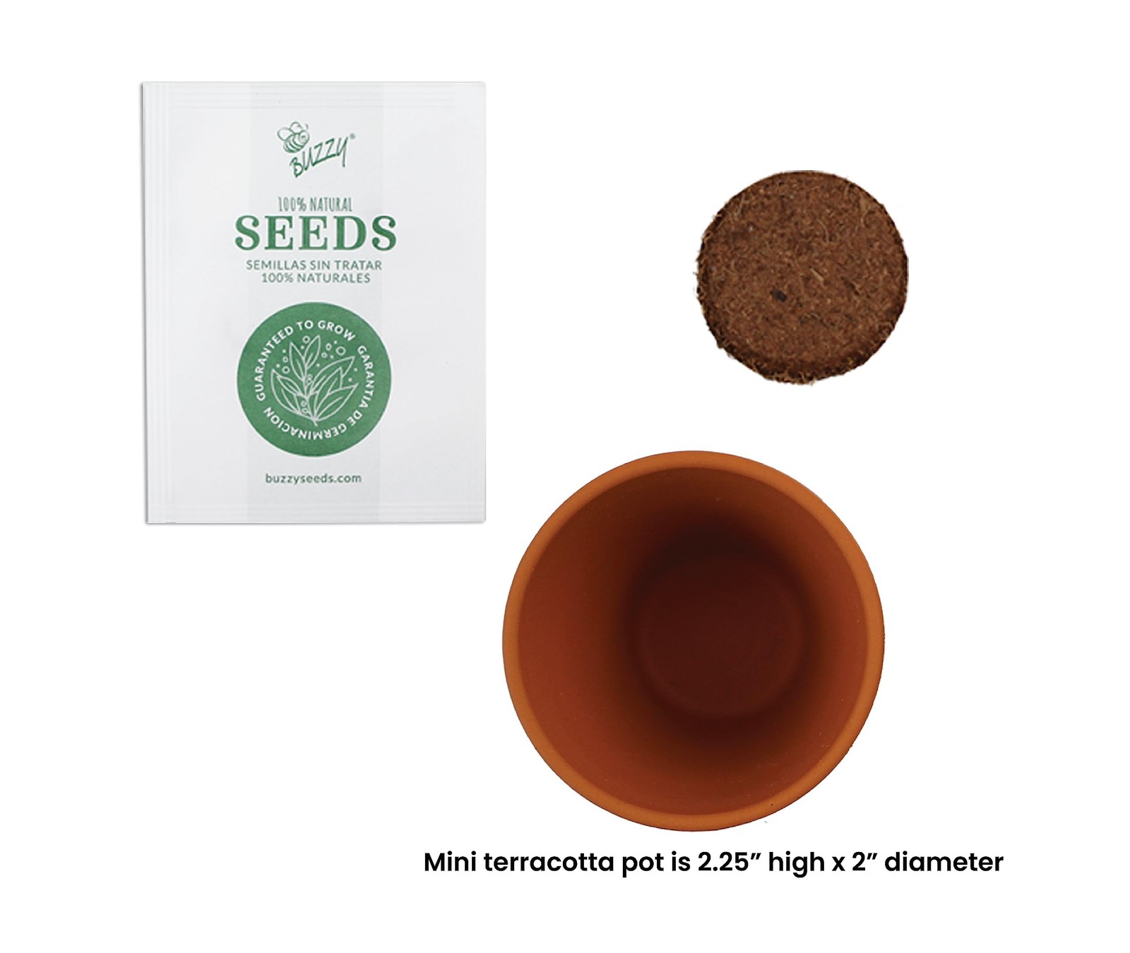Daisy Seeds & Genuine Terracotta 5cm Mini Pot Bulk Pack (20 Count), Includes …
